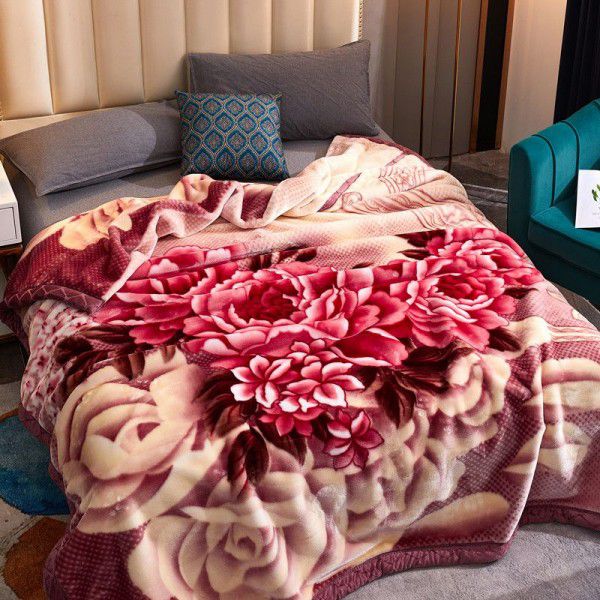 Raschel blanket double layer thickened single and double person cloud blanket in autumn and winter coral velvet flannel quilt double-sided flannel blanket 